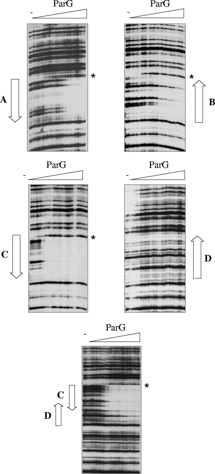 FIG. 5.