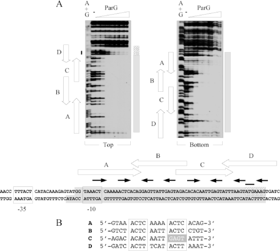 FIG. 1.