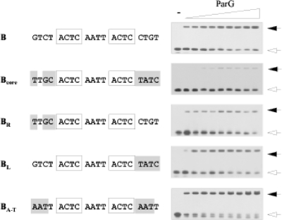 FIG. 7.