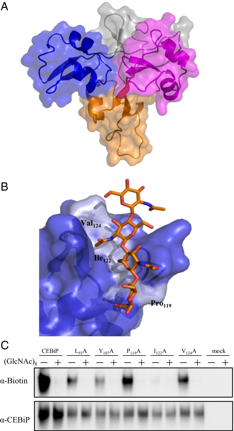 Fig. 4.