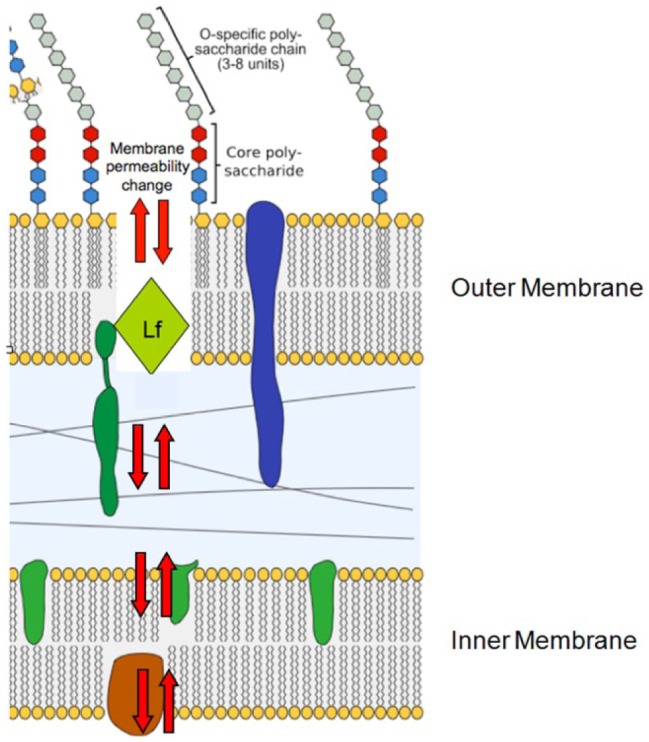 Figure 2.