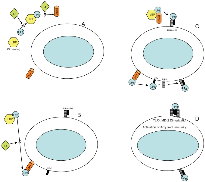 Figure 3.