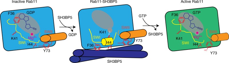 Fig. 8