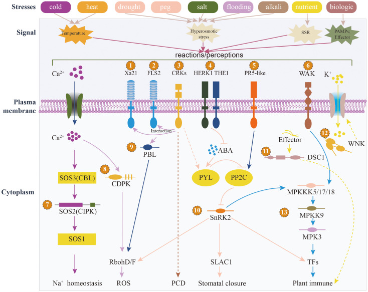 Figure 6