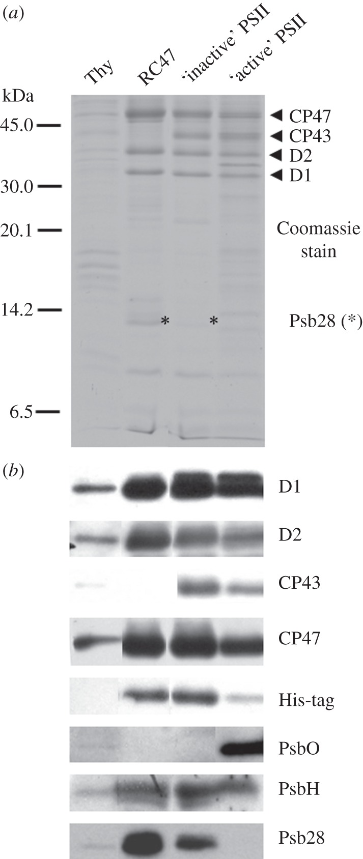 Figure 4.