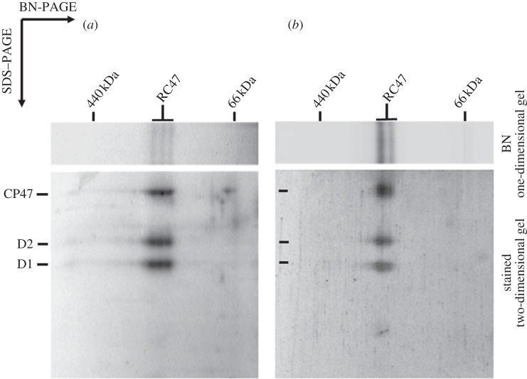 Figure 2.