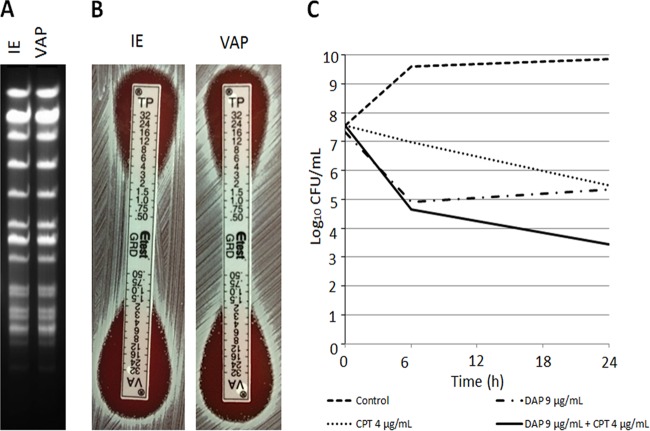 FIG 1