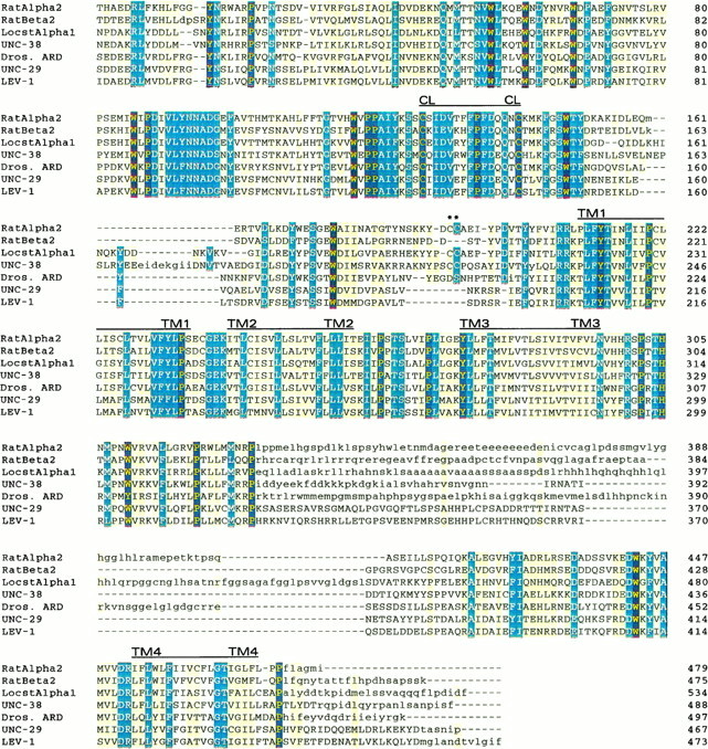 Fig. 2.