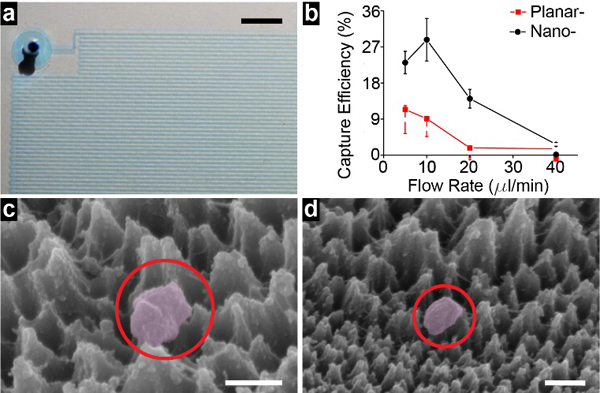 Figure 4: