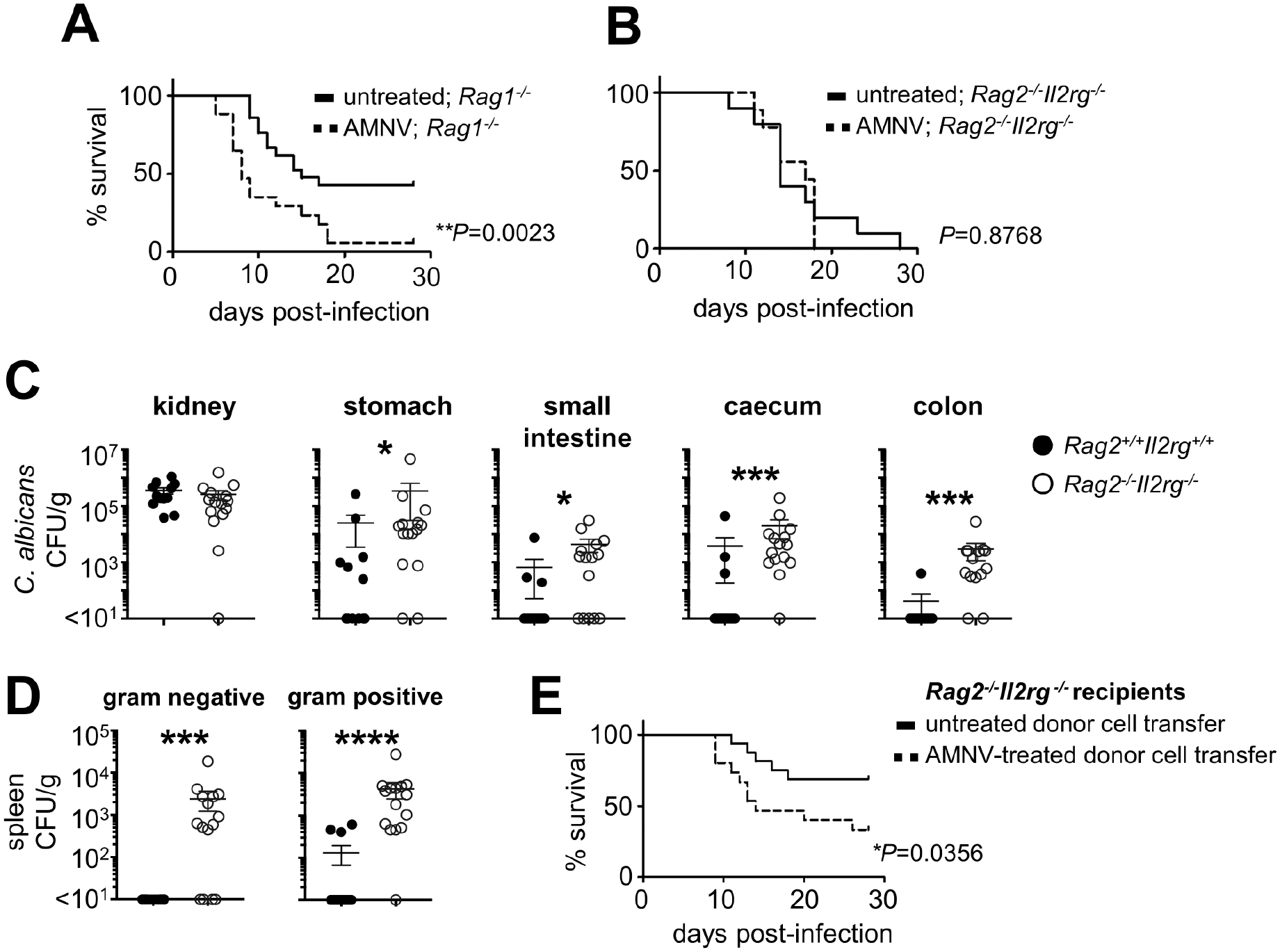 Figure 4: