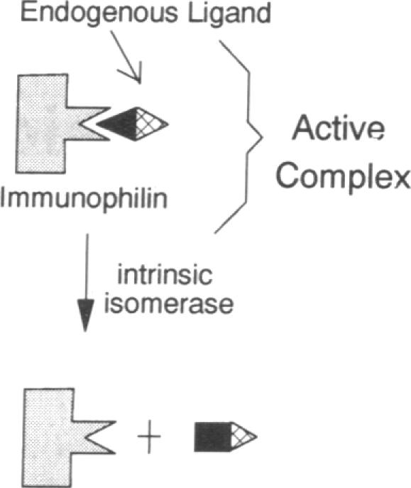 graphic file with name pnas01064-0304-a.jpg