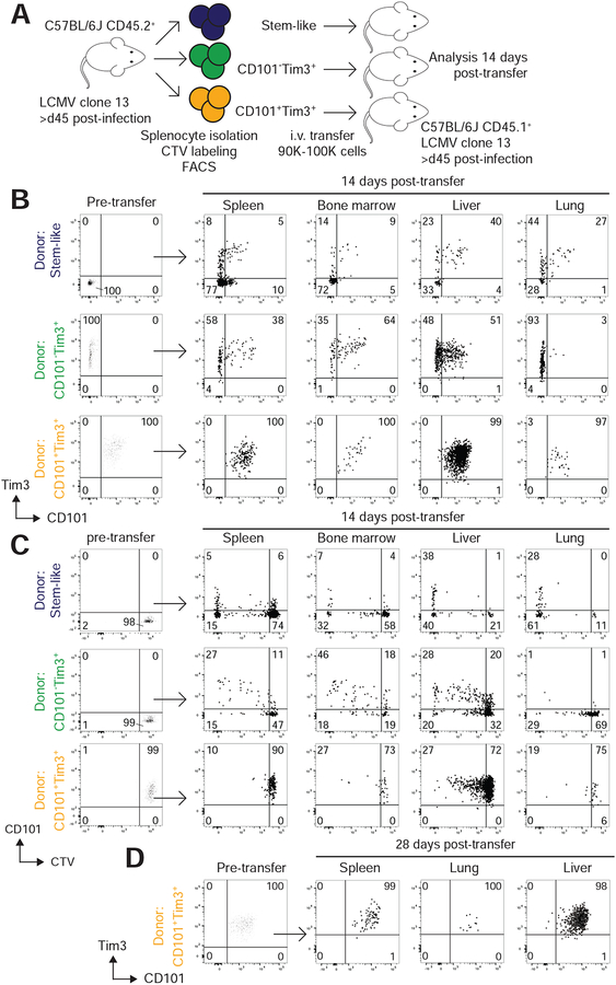 Figure 4: