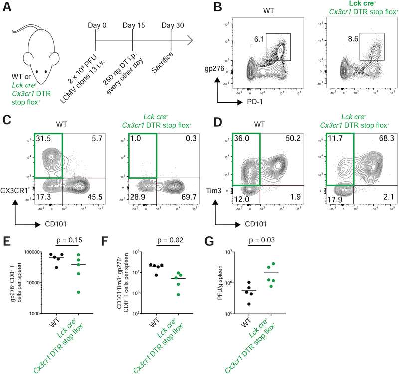 Figure 6: