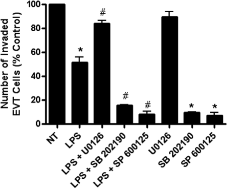 Figure 6