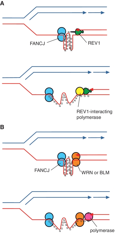 Figure 7.