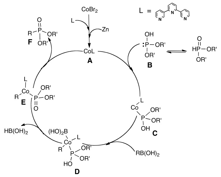 Scheme 1