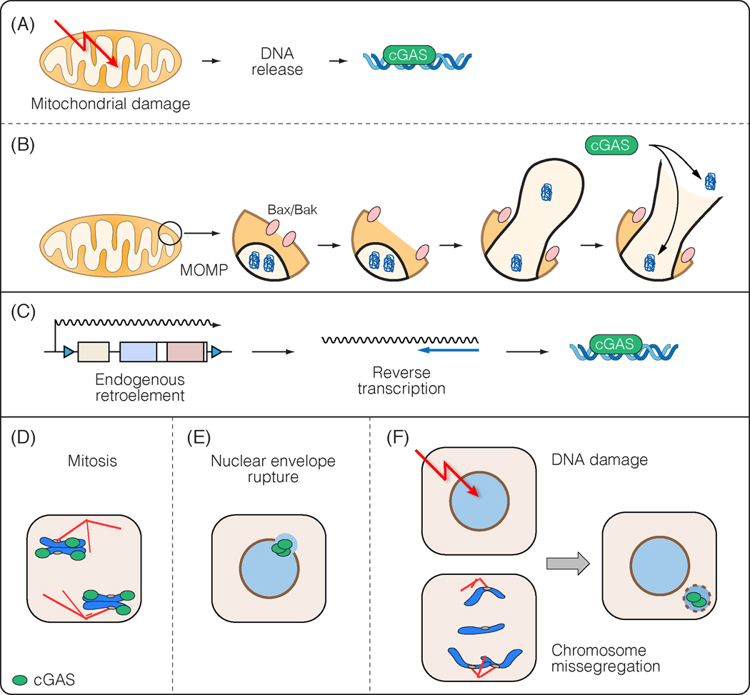 Figure 2: