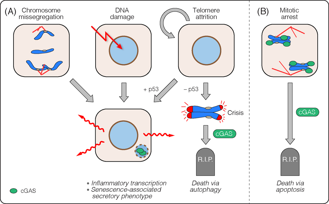 Figure 3: