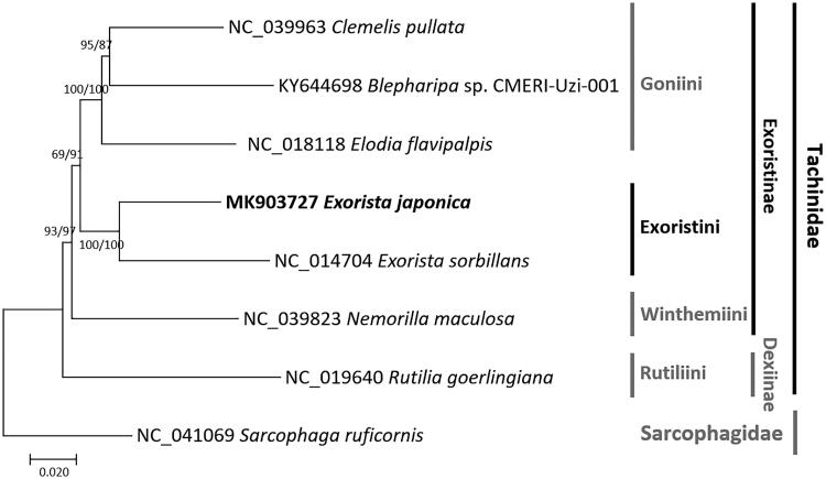 Figure 1.