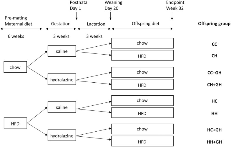 FIGURE 1