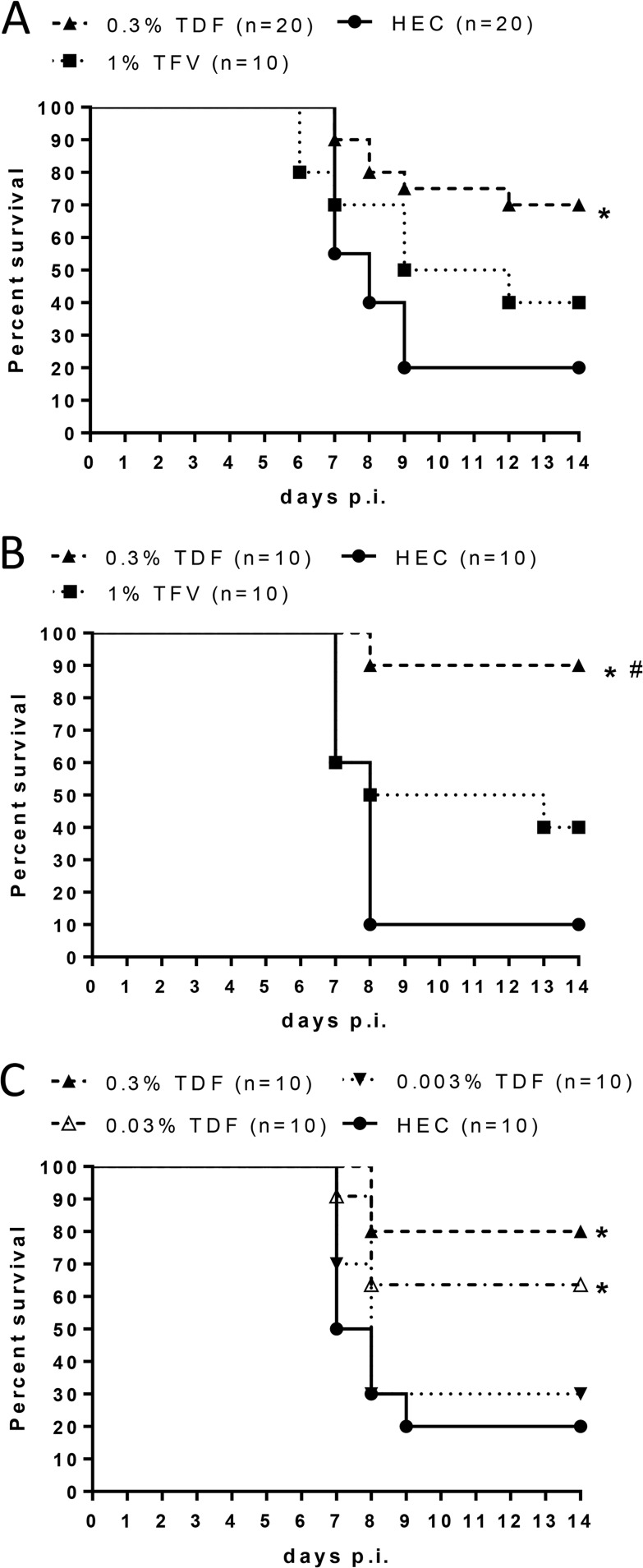 FIG 5