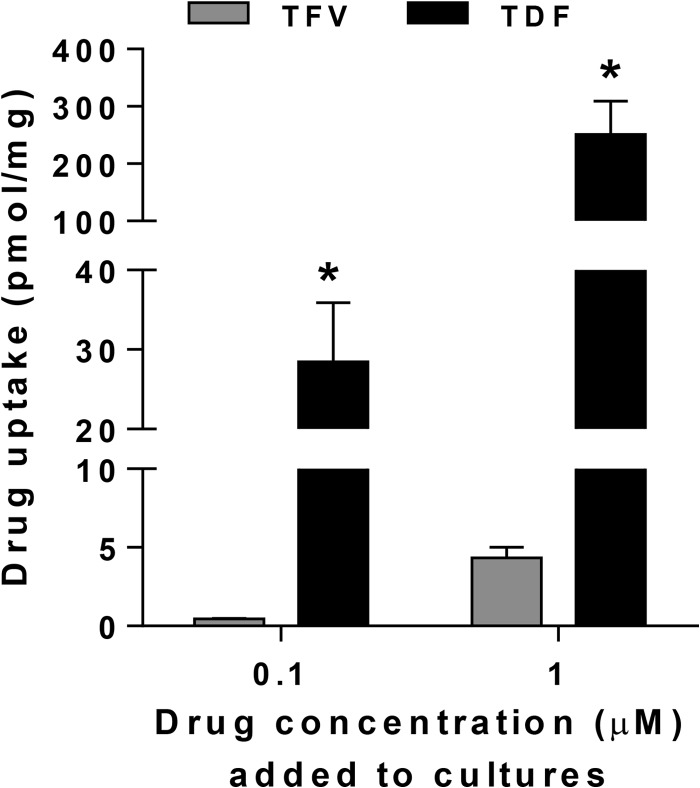 FIG 6