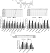 FIG 2