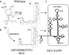 FIG 1