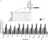 FIG 7