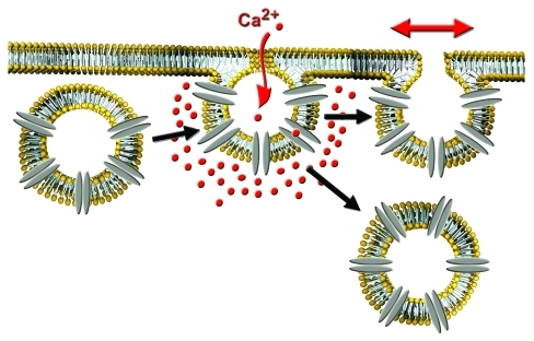 Figure 1.