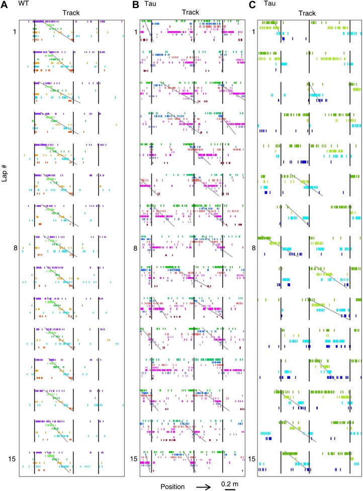 Figure 3—figure supplement 3.