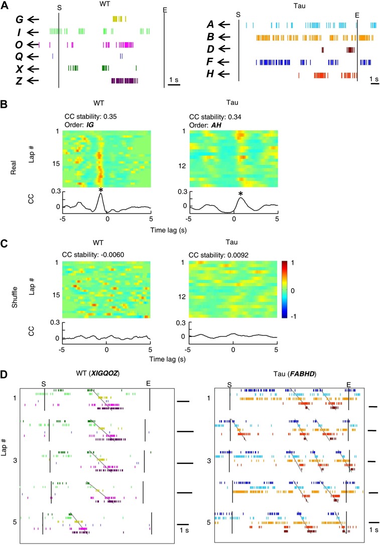 Figure 3—figure supplement 1.