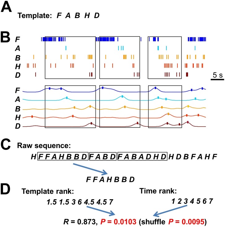 Figure 3—figure supplement 2.