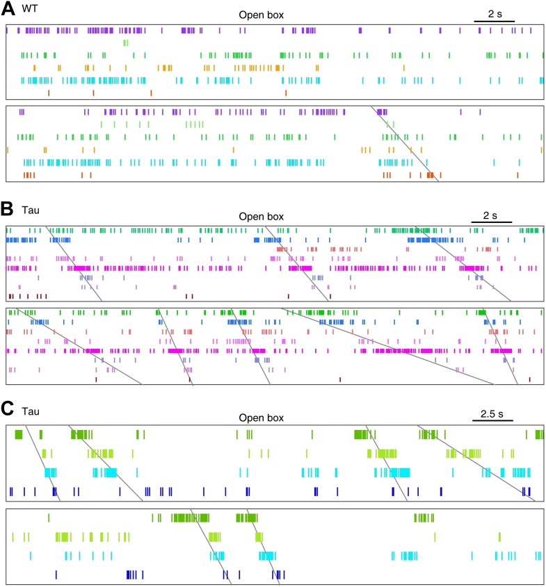 Figure 5—figure supplement 1.