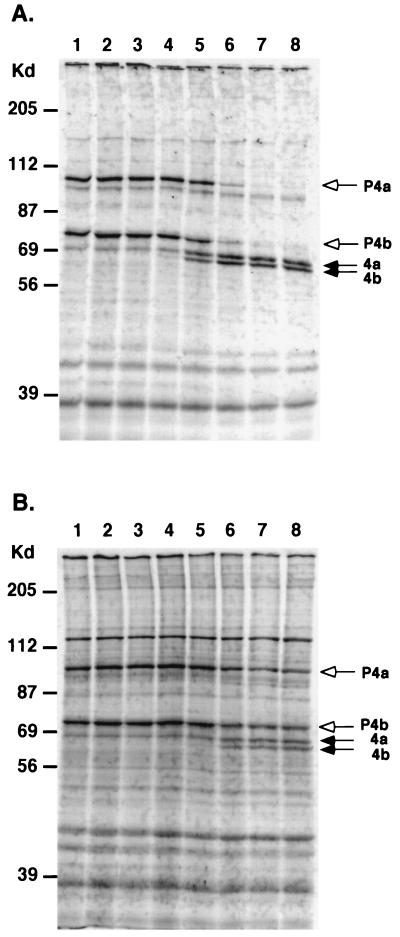 FIG. 6