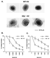 FIG. 7