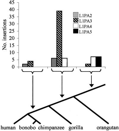 Figure  3