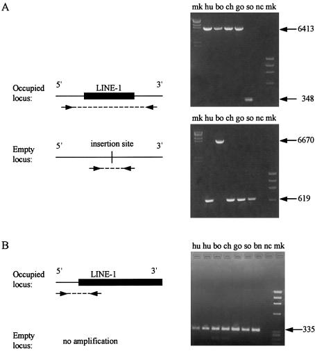 Figure  2