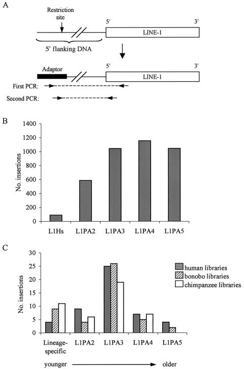 Figure  1