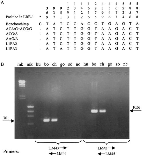 Figure  4