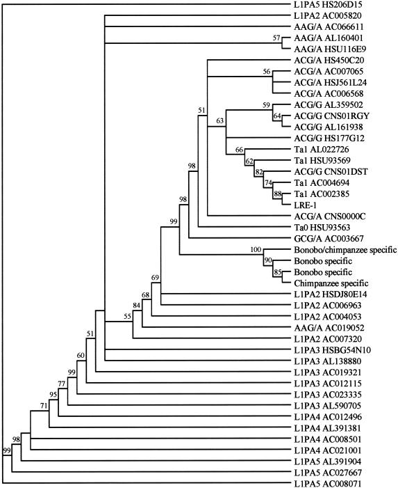 Figure  5