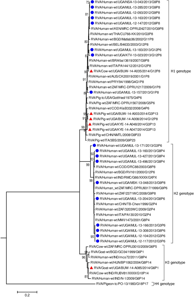 Fig 6