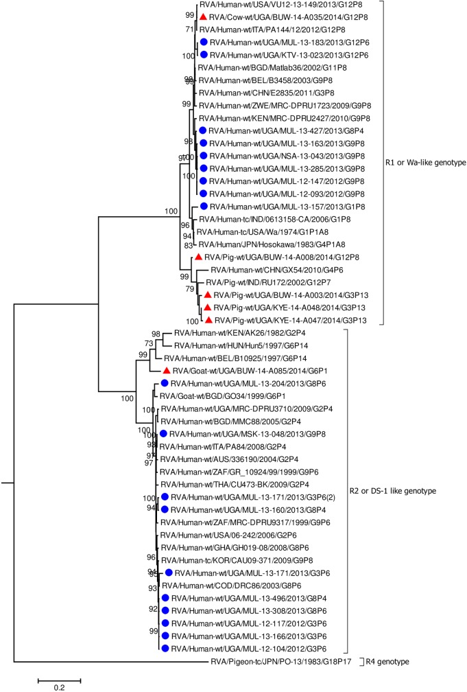 Fig 2