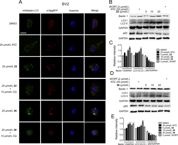 Figure 6
