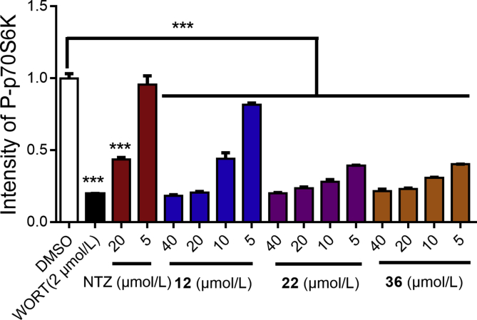 Figure 2