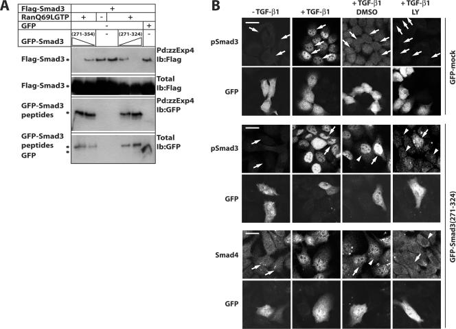 FIG. 8.