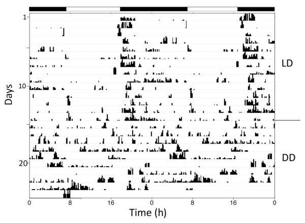 Figure 6