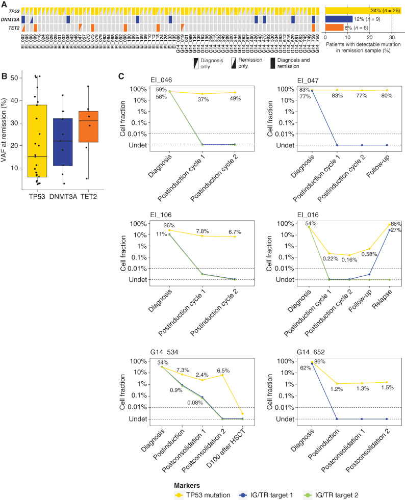 Figure 3. Tracking of ARCH-related mutations in remission samples of LH-ALL patients. A, Heat map of mutations in paired diagnosis and remission samples for 71 patients. Data are based on sequencing data with a threshold for positivity at 2% VAF. B, Box plot for VAF of mutations detected by sequencing at remission. C, Longitudinal assessment of TP53-mutant cell fraction as determined by ddPCR (0.05–0.1% sensitivity), along with clonal IG/TR-based MRD quantification (0.01%–0.001% sensitivity), for six patients with TP53 mutation detected in remission samples, including two below the sequencing detection threshold.