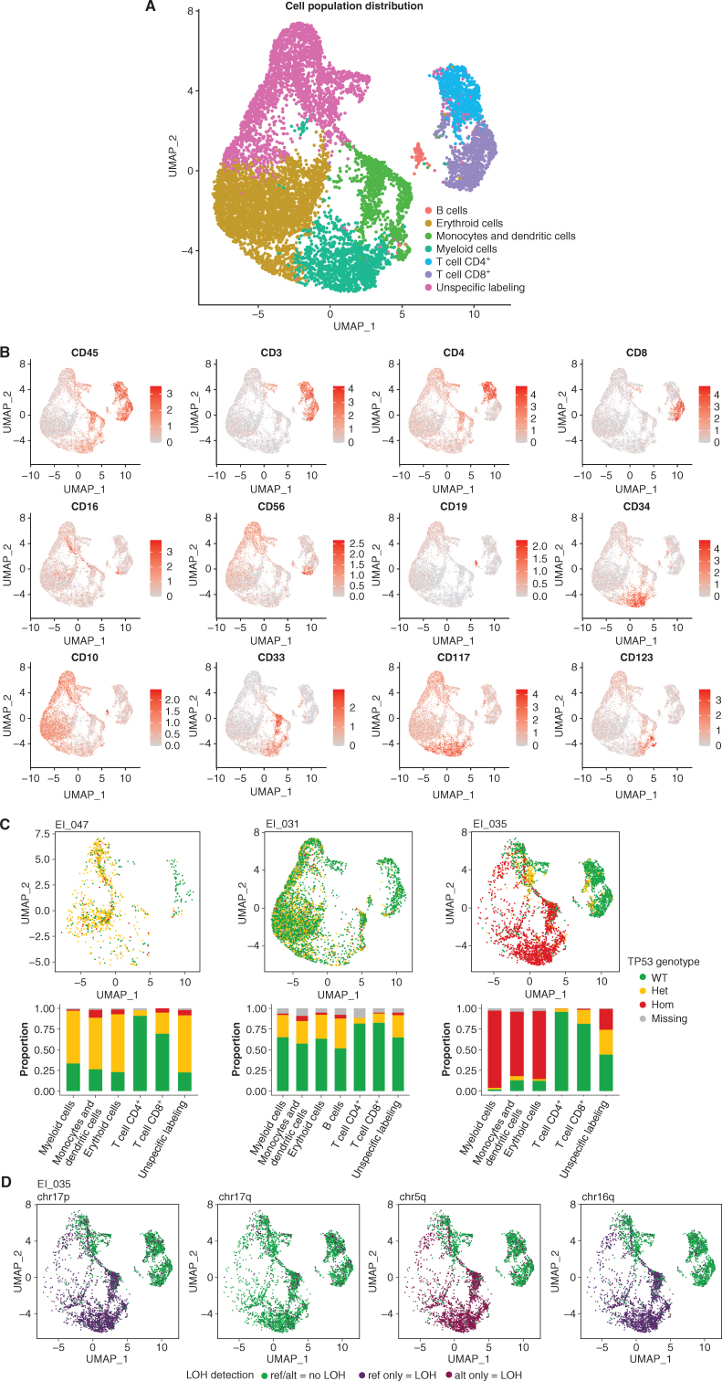 Figure 4. Integrated single-cell genotyping and immunophenotyping reveal a multilineage TP53-mutant clonal population at the remission stage in LH-ALL patients. A, UMAP plot of 10,598 cells from remission samples of three patients (EI_047, EI_031, and EI_035 having 1,017, 5,450, and 4,131 cells available for analysis, respectively). Cells are clustered by expression of cell-surface markers and colored according to assigned clusters. B, Same UMAP plots with cells colored by expression of specific cell-surface markers used to assign cell clusters. C, Same UMAP plots (top) for individual patient's remission samples, with cells colored according to TP53 genotype. Histograms (bottom) show the proportion of each TP53 genotype within each cell cluster. D, UMAP plots for the EI_035 remission sample, with cells colored according to genotype for several heterozygous SNPs allowing LOH assessment.