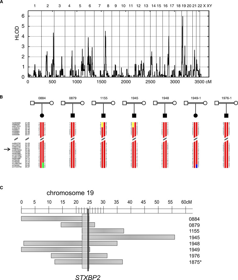 Figure 1